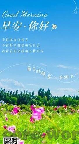 中国即时足球比分直播-中国即时足球比分直播，科技赋能下的绿茵激情实时传递